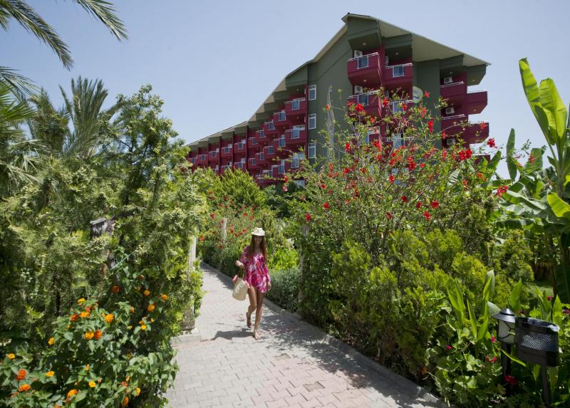 Aydinbey Gold Dreams / Aydinbey Gold Dreams