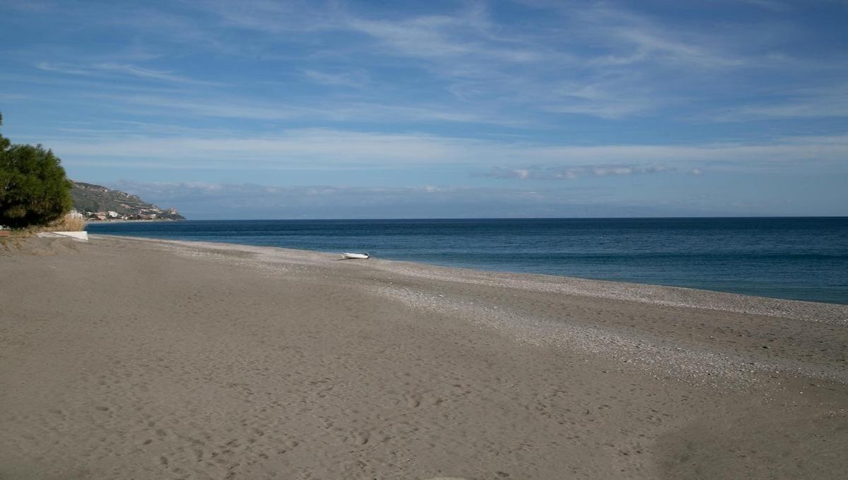 Chrismare / Chrismare