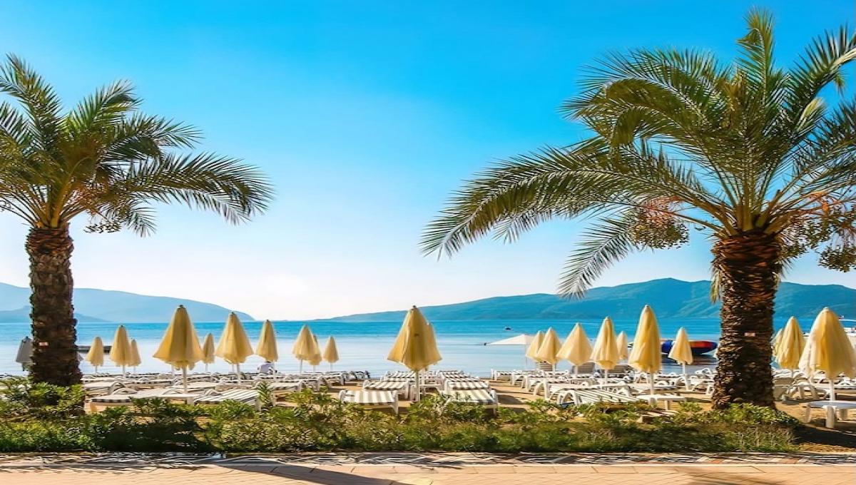 Aurasia Sea Side Hotel / Aurasia Sea Side Hotel