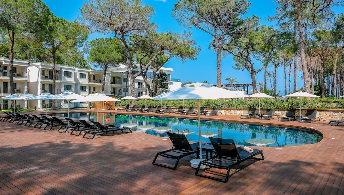 Aydinbey Siu Collection / Aydinbey Siu Collection