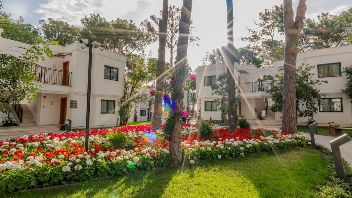 Aydinbey Siu Collection / Aydinbey Siu Collection