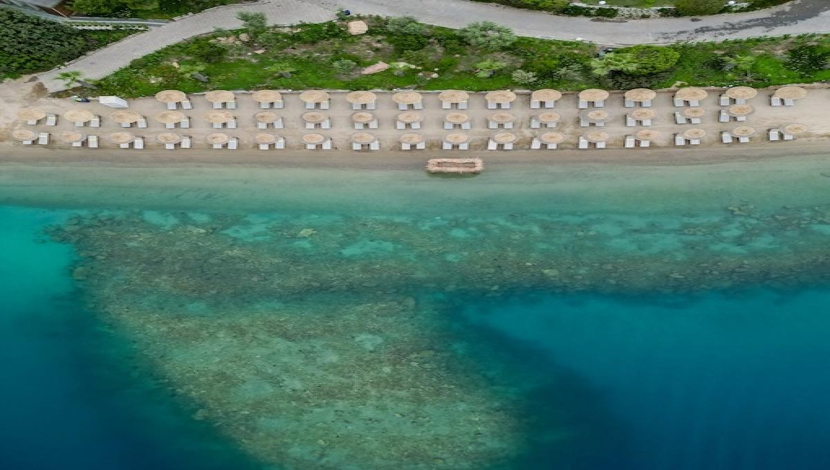 La Blanche Island / La Blanche Island