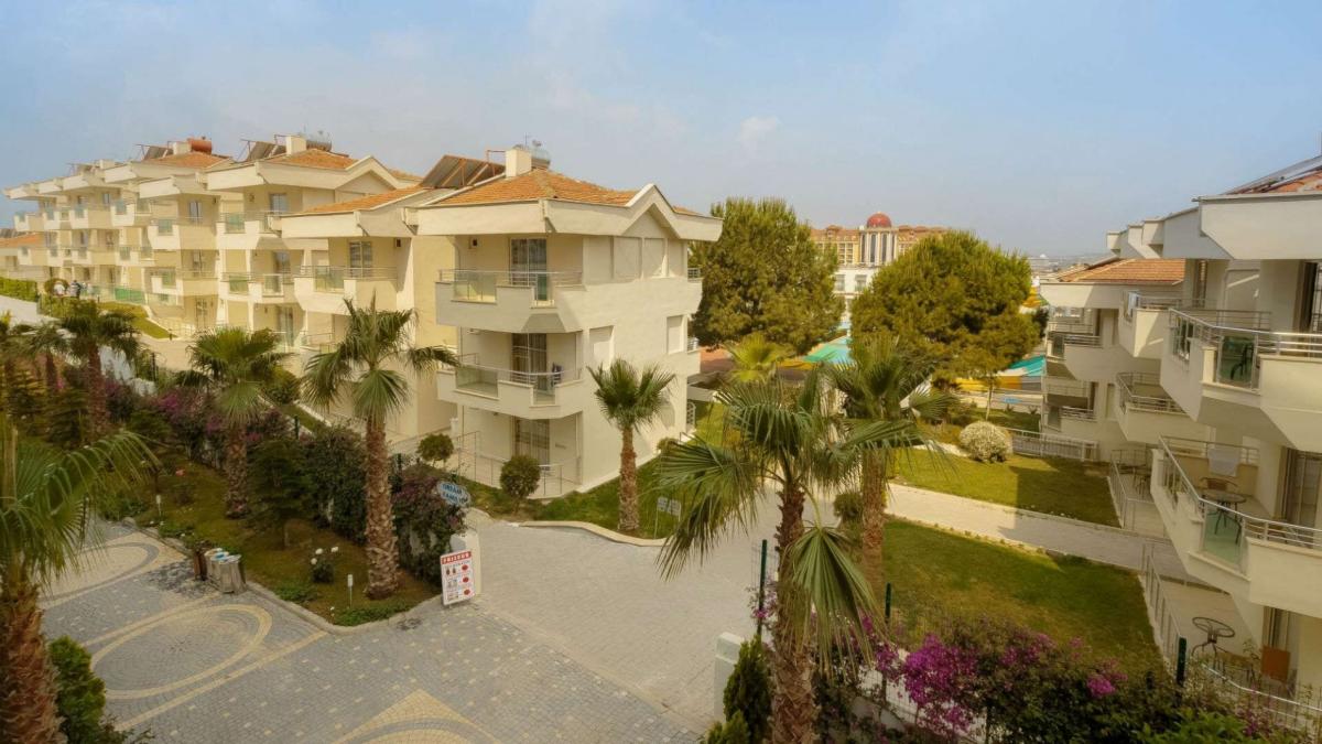 Dream Family Club / Dream Family Club