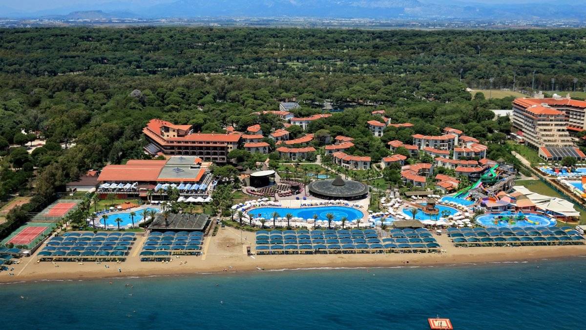 PAPILLON BELVIL - BELEK
