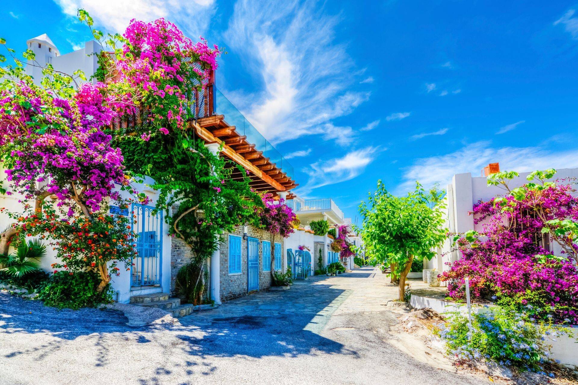 Tunis 1 A Travel